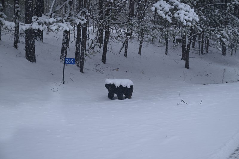 DSC_0229.JPG